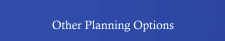 Other Planning Options